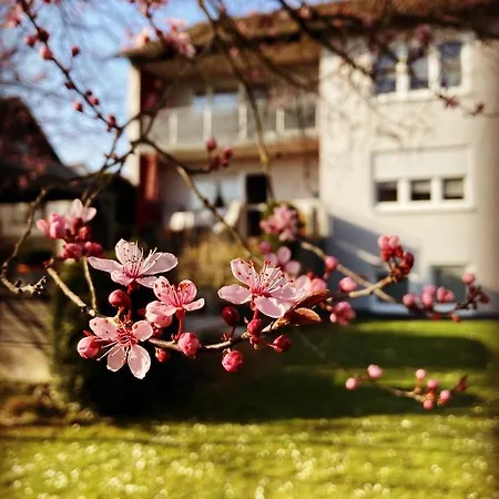 Im Aalbachtal - Bei Wuerzburg * Uettingen