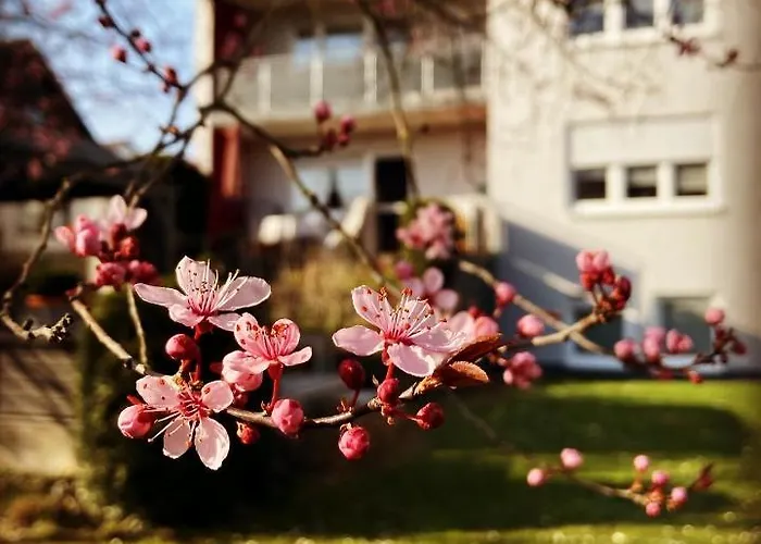 Im Aalbachtal - Bei Wuerzburg * Uettingen
